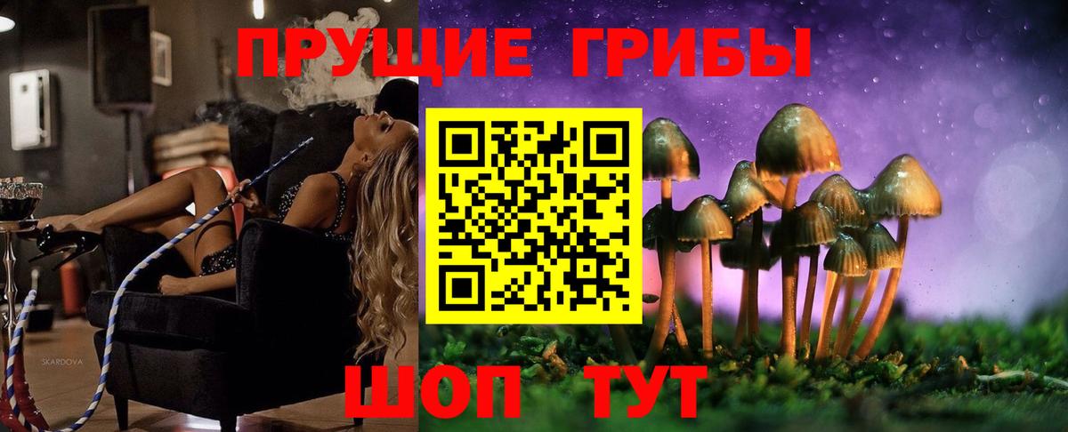 Псилоцибиновые грибы Cubensis  Ступино 